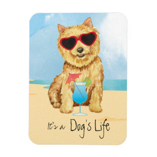 Summer Norwich Terrier Magnet Magneet