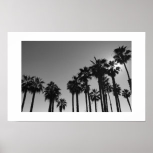 Summer Ocean Palms Black en White Photography Poster