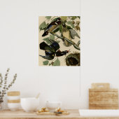 Summer of Wood Duck Poster (Keuken)