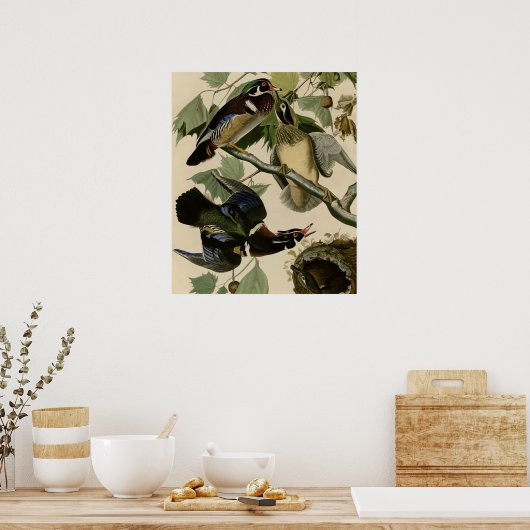 Summer of Wood Duck Poster (Keuken)