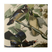 Summer of Wood Duck Tegeltje (Voorkant)