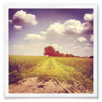 Summer Off Road Foto Afdruk