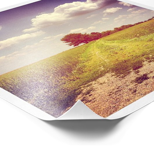 Summer Off Road Foto Afdruk (Hoek)