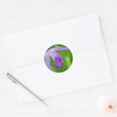 Summer Orchid. Ronde Sticker (Envelop)
