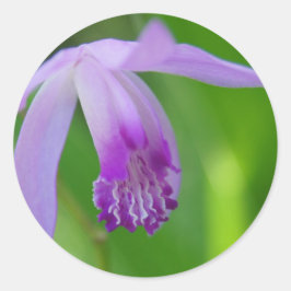 Summer Orchid. Ronde Sticker