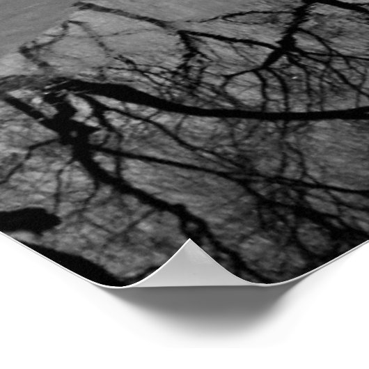 Summer Palace B&W Poster (Hoek)