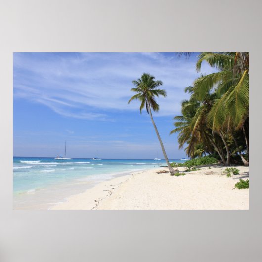 Summer Paradise Poster (Voorkant)