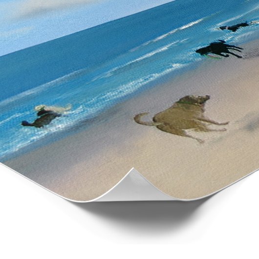 Summer Paws Poster (Hoek)