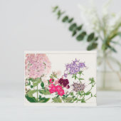 Summer phlox van Tanigami Konan Briefkaart (Staand voorkant)