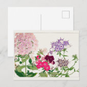 Summer phlox van Tanigami Konan Briefkaart (Voorkant / Achterkant)