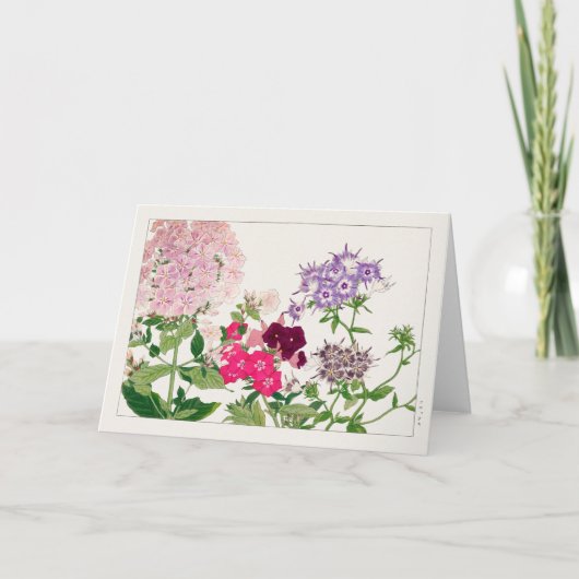 Summer phlox van Tanigami Konan Kaart (Voorkant)