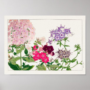 Summer phlox van Tanigami Konan Poster