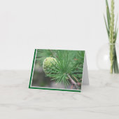 Summer Pine Cone Note Card Bedankkaart (Voorkant)