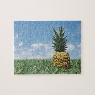 Summer Pineapple Legpuzzel