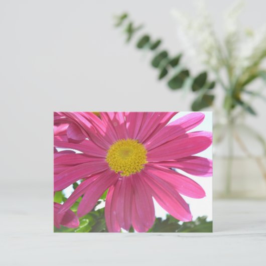 Summer Pink Flower Briefkaart (Staand voorkant)