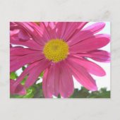 Summer Pink Flower Briefkaart (Voorkant)