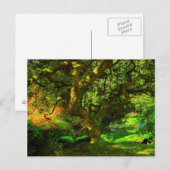 Summer, Portland Japanse tuin, Portland Briefkaart (Voorkant / Achterkant)