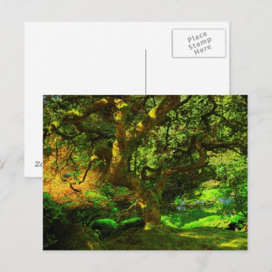 Summer, Portland Japanse tuin, Portland Briefkaart (Voorkant / Achterkant)