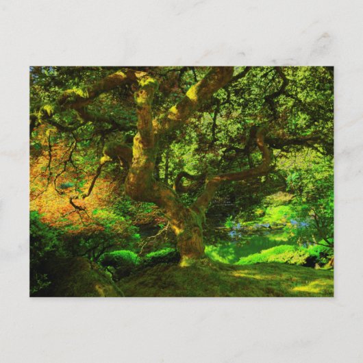 Summer, Portland Japanse tuin, Portland Briefkaart (Voorkant)