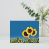 Summer Post Cards Briefkaart (Staand voorkant)