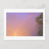 Summer Rainbow Briefkaart (Voorkant)