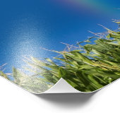 Summer Rainbow Wall Print Foto Afdruk (Hoek)