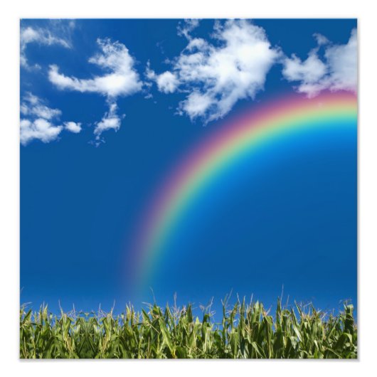Summer Rainbow Wall Print Foto Afdruk (Voorkant)