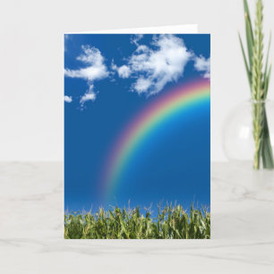 Summer Rainbow Wenskaart Kaart