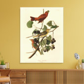 Summer Red Bird (Tanager) Audubon Birds of America Canvas Afdruk (Insitu (Woonkamer))