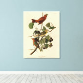 Summer Red Bird (Tanager) Audubon Birds of America Canvas Afdruk (Insitu (Houten vloer))