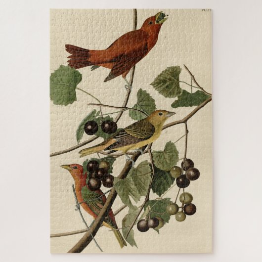 Summer Red Bird (Tanager) Audubon Birds of America Legpuzzel (Verticaal)