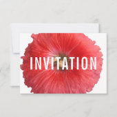 Summer Red Hollyhock (nieuw) Kaart (Voorkant)