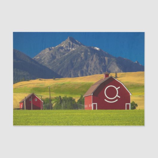 Summer Red Mountain Barns Tissuepapier (Voorkant)