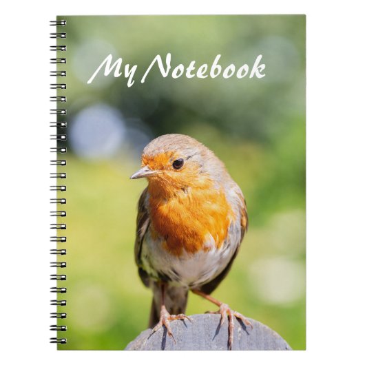 Summer Robin Notitieboek (Voorkant)