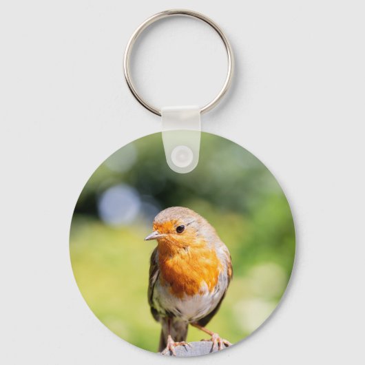 Summer Robin Sleutelhanger (Voorkant)