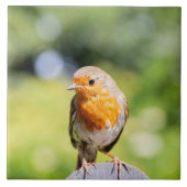 Summer Robin Tegeltje (Voorkant)