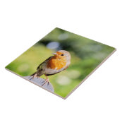 Summer Robin Tegeltje (Zijkant)