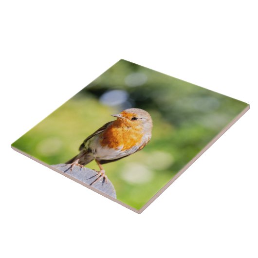 Summer Robin Tegeltje (Zijkant)