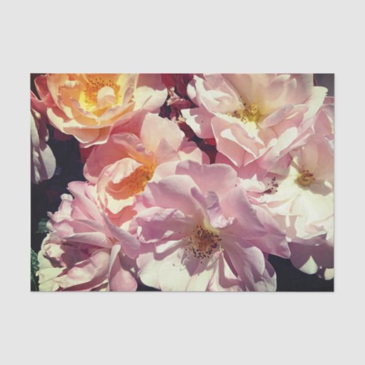 Summer Roos Tissue Paper Tissuepapier (Voorkant)