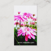 Summer!/Roze Gerbera Daisies Field Visitekaartjes (Achterkant)