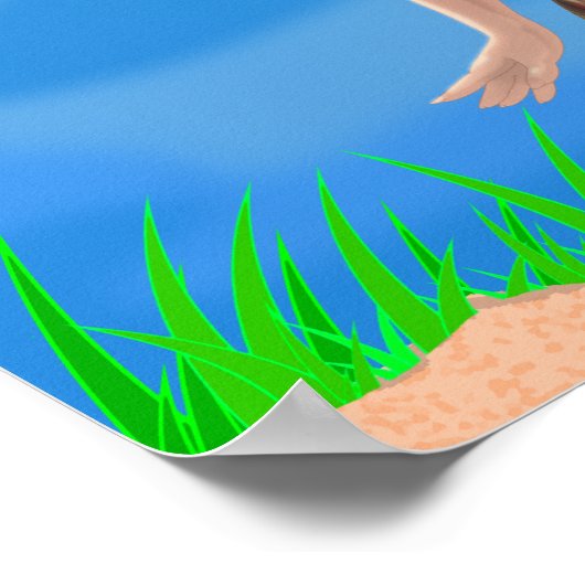 Summer Sharm Poster (Hoek)