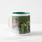 Summer Sheltie Mok (Voorkant links)