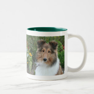 Summer Sheltie Mok