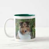 Summer Sheltie Mok (Links)