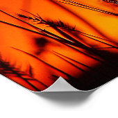 Summer Silhouette Poster (Hoek)