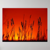 Summer Silhouette Poster (Voorkant)