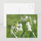 Summer Snowflakes DIY Postcard Feestdagenkaart (Voorkant / Achterkant)