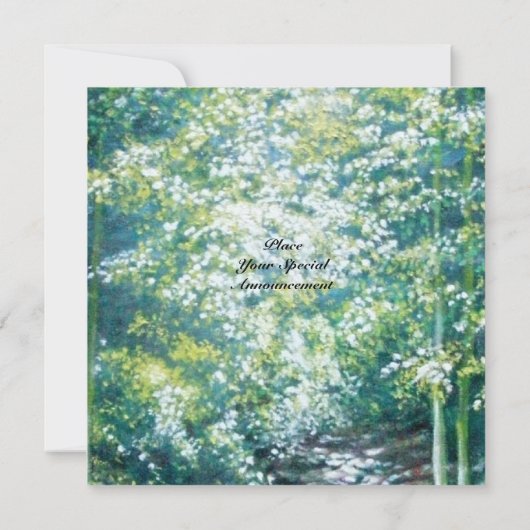 SUMMER SONGS KAART (Achterkant)