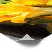 Summer Squash Blossom Poster Paper (Matte) (Hoek)