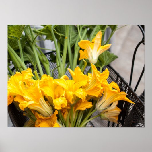 Summer Squash Blossom Poster Paper (Matte) (Voorkant)